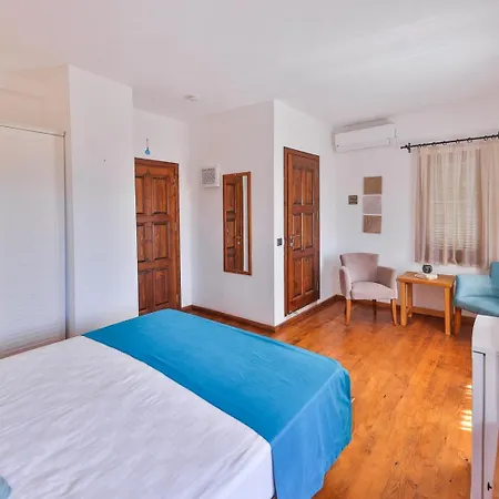 Old Town Hotel *
